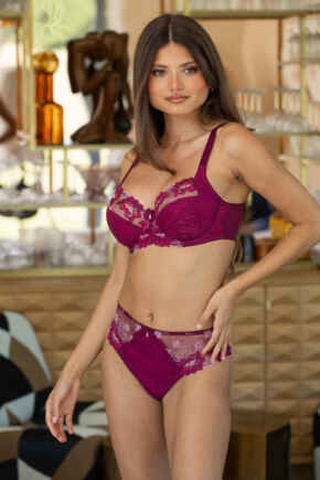 Sofia Embroidered Lace Bikini Brief - Berry/Pink