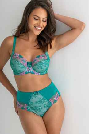 Sofia Lace Embroidered Deep Brief - Green/Pink