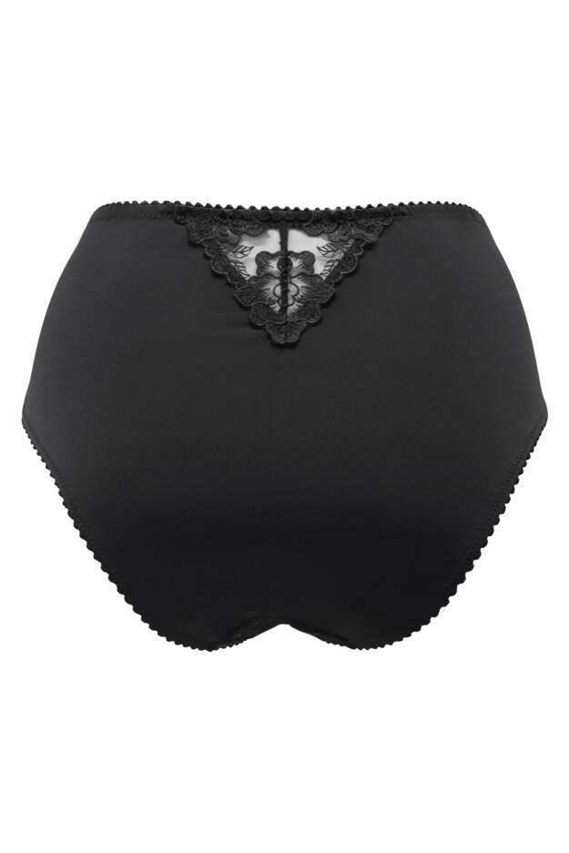 Sofia Lace Embroidered Deep Brief