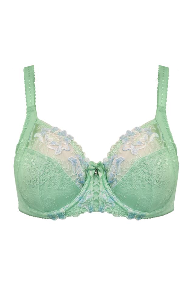 Sofia Lace Embroidered Side Support Bra D-M