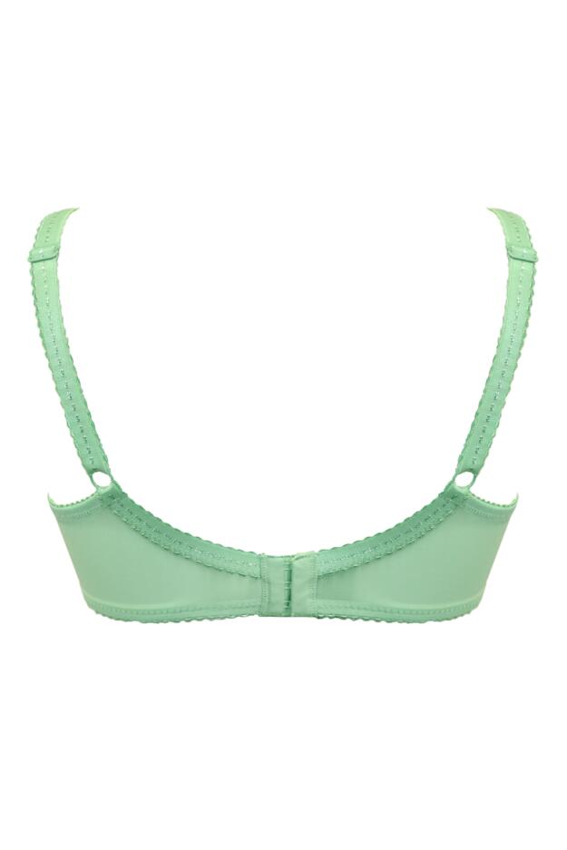 Sofia Lace Embroidered Side Support Bra D-M