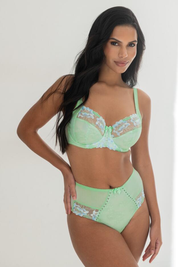 Sofia Emb Lace Embroidered Deep Brief