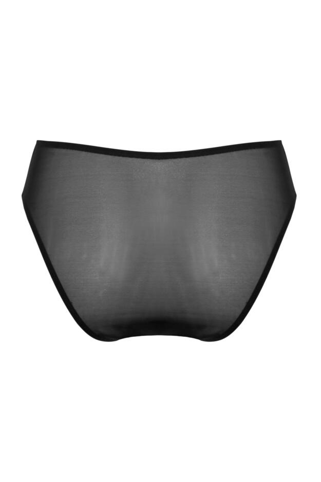 Roxanne Embroidered High Leg Mesh Brief