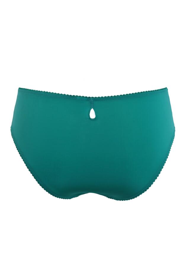 Sofia Embroidered Lace Bikini Brief