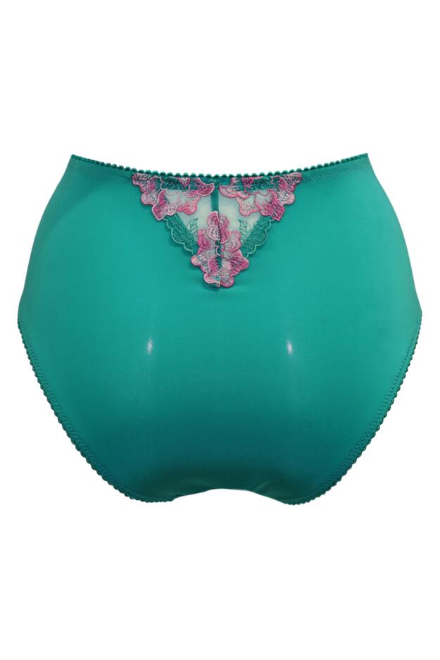 Sofia Lace Embroidered Deep Brief