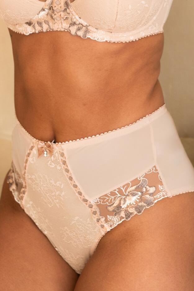 Sofia Lace Embroidered Deep Brief