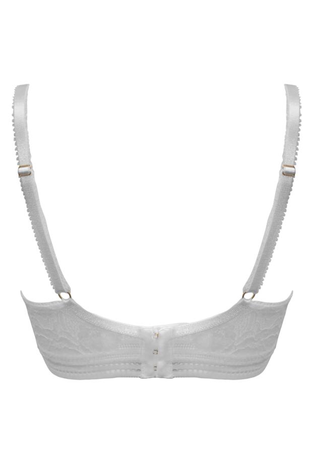 Taylor Lace High Apex Push-Up Padded Plunge Bra