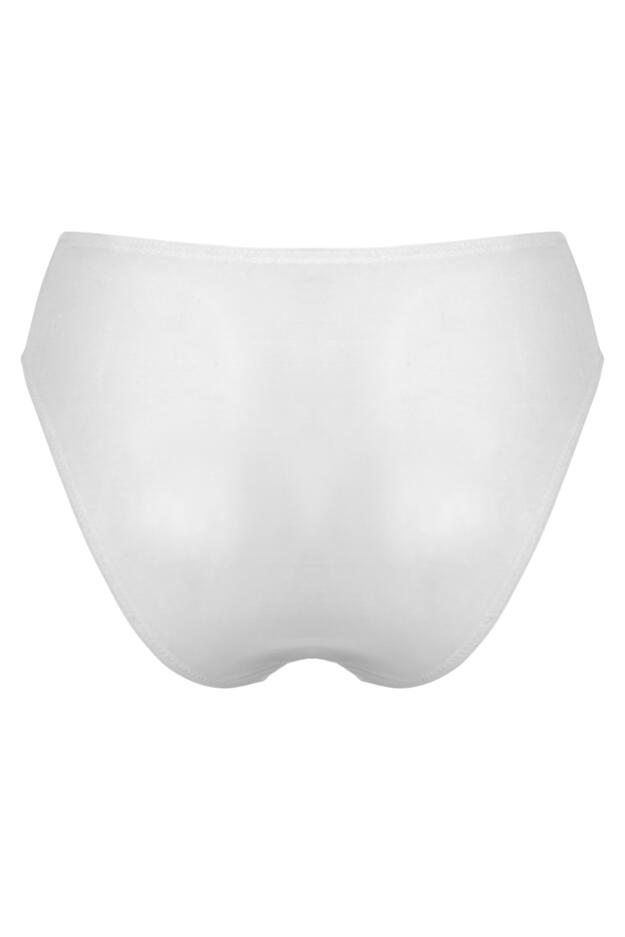 Roxanne Embroidered High Leg Mesh Brief