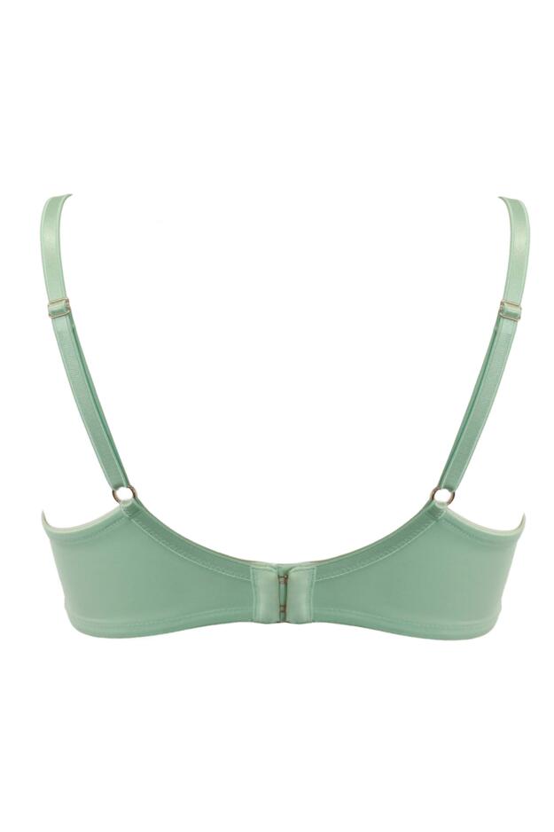 Atelier Lace High Apex Lightly Padded Underwired Bra