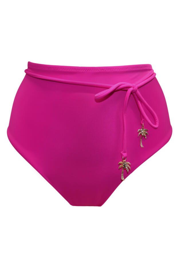 Madrid High-Waist Belted Control Brief 