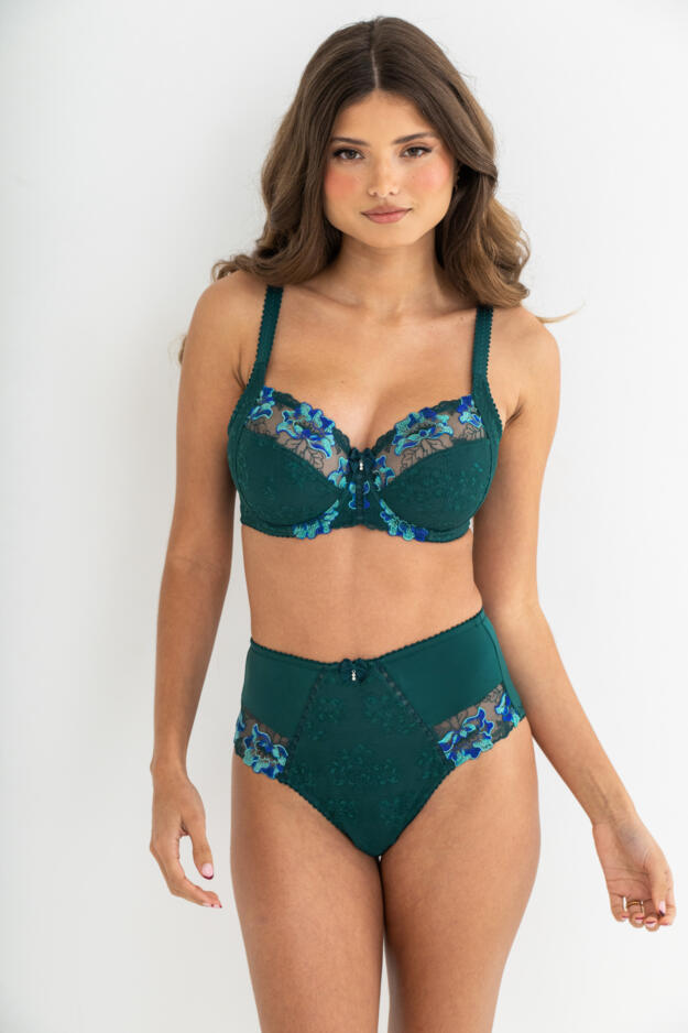 Sofia Lace Embroidered Deep Brief