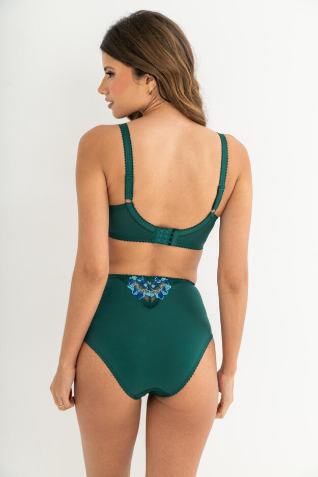 Sofia Lace Embroidered Deep Brief