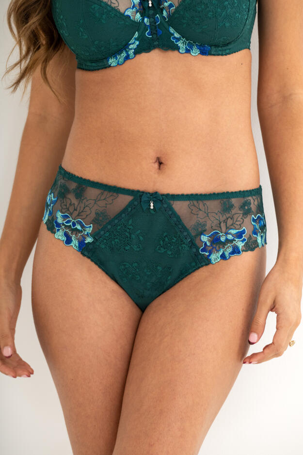 Sofia Embroidered Lace Bikini Brief