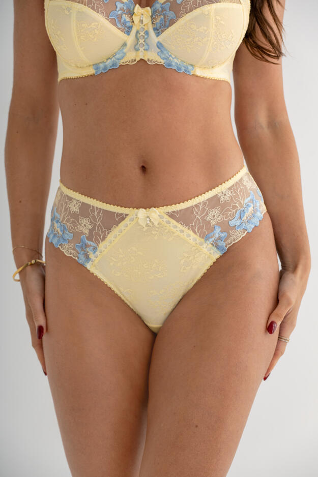 Sofia Embroidered Lace Bikini Brief