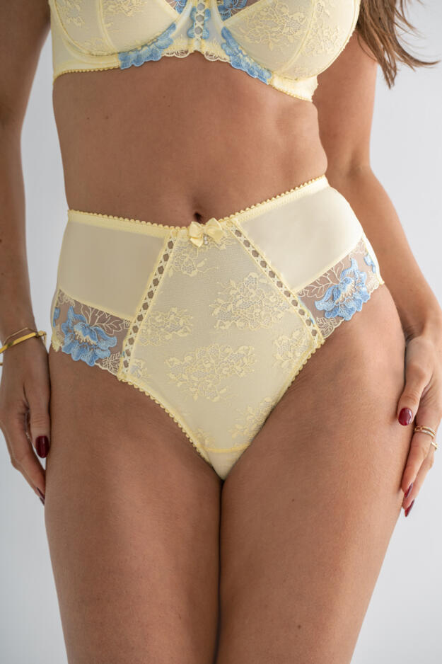 Sofia Lace Embroidered Deep Brief