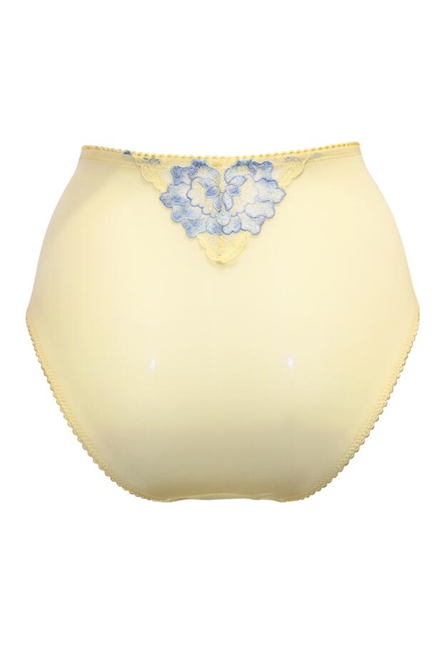 Sofia Lace Embroidered Deep Brief