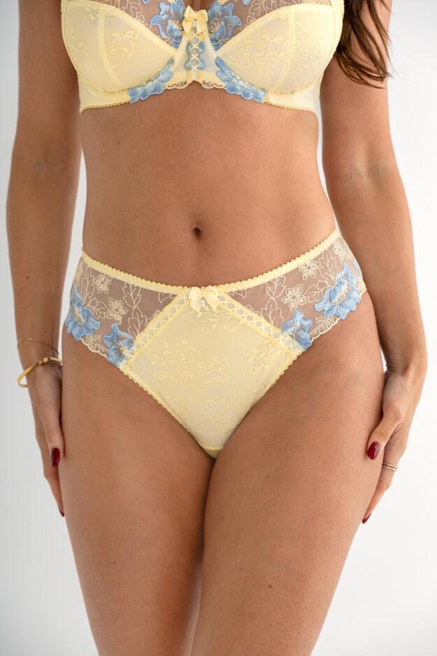 Sofia Embroidered Lace Bikini Brief